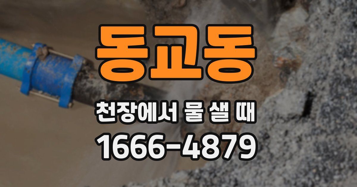 동교동 천장에서 물 샐 때