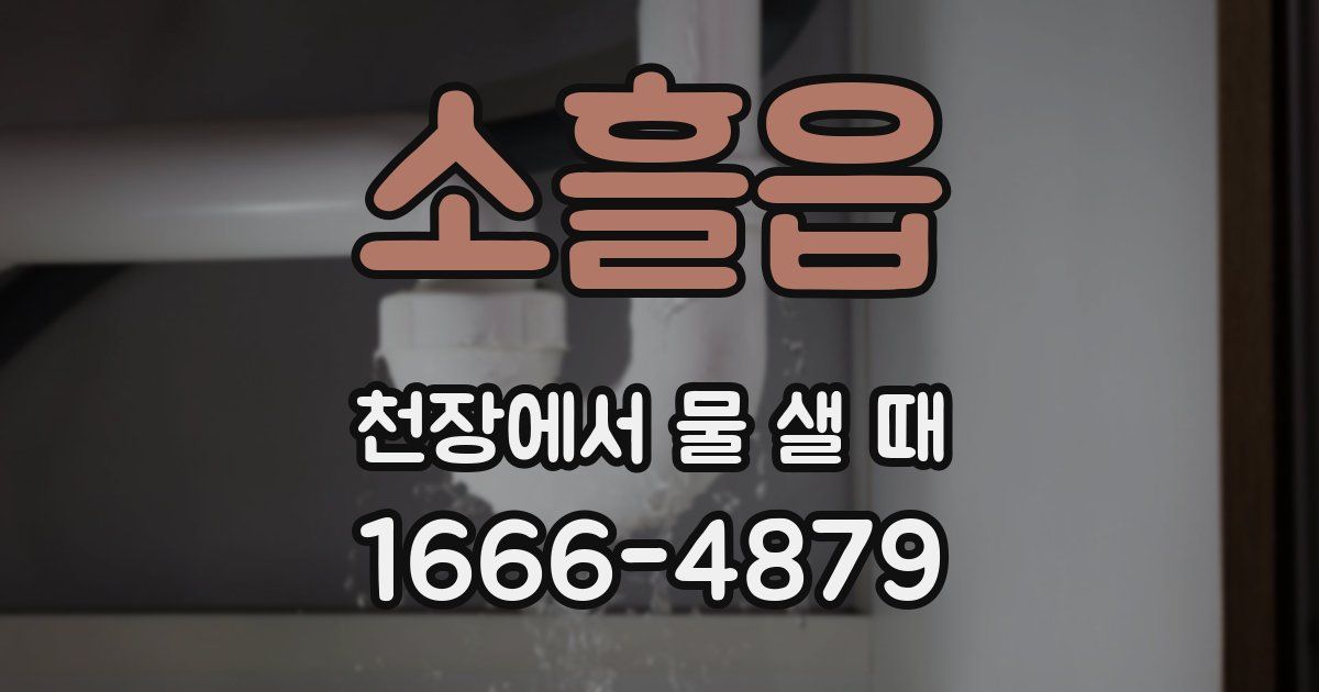 소흘읍 천장에서 물 샐 때