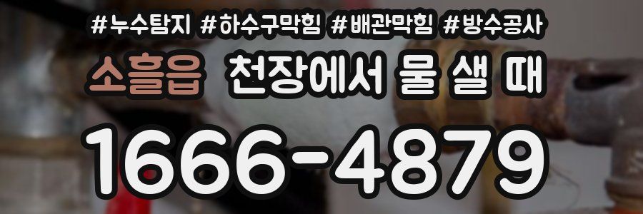 소흘읍 천장에서 물 샐 때