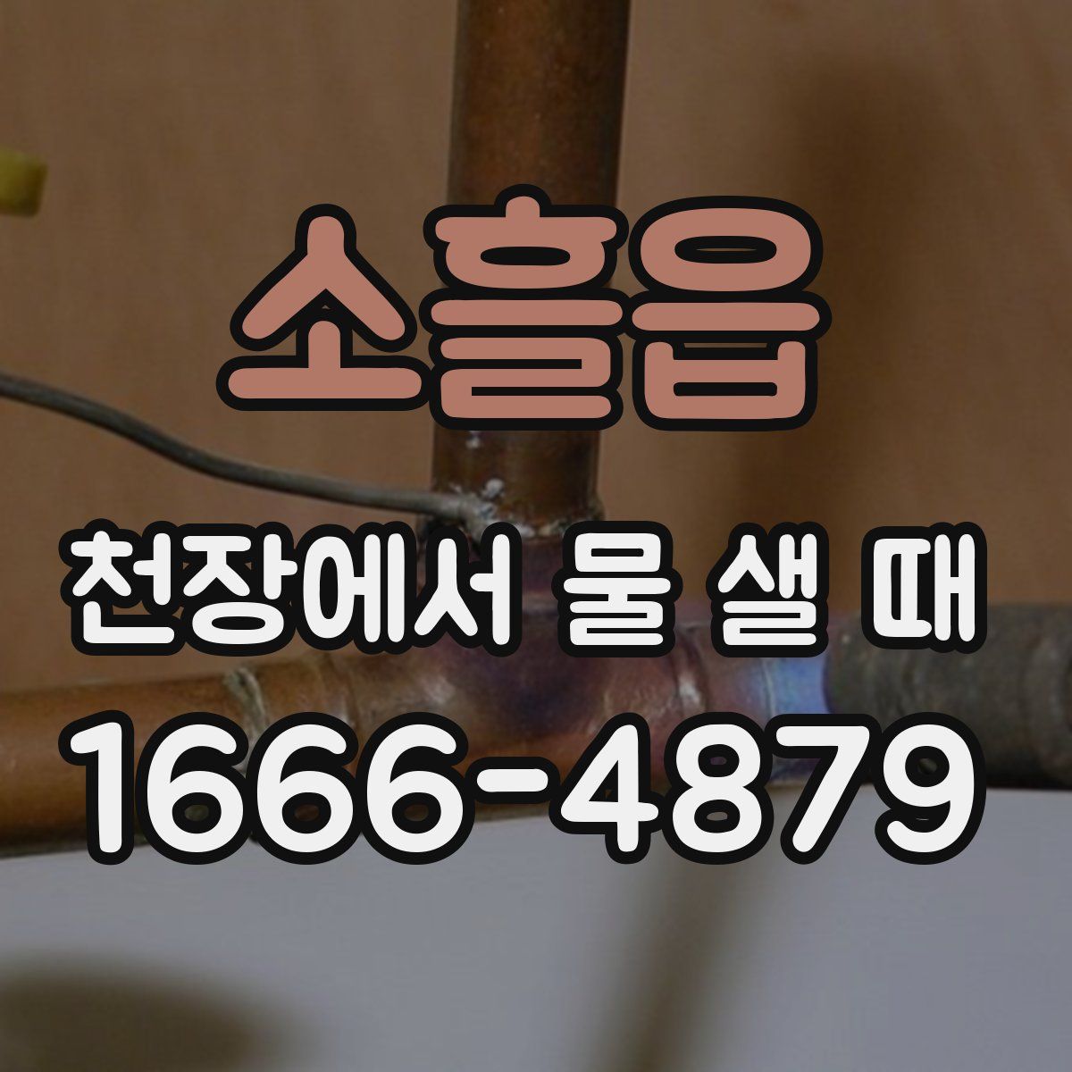 소흘읍 천장에서 물 샐 때