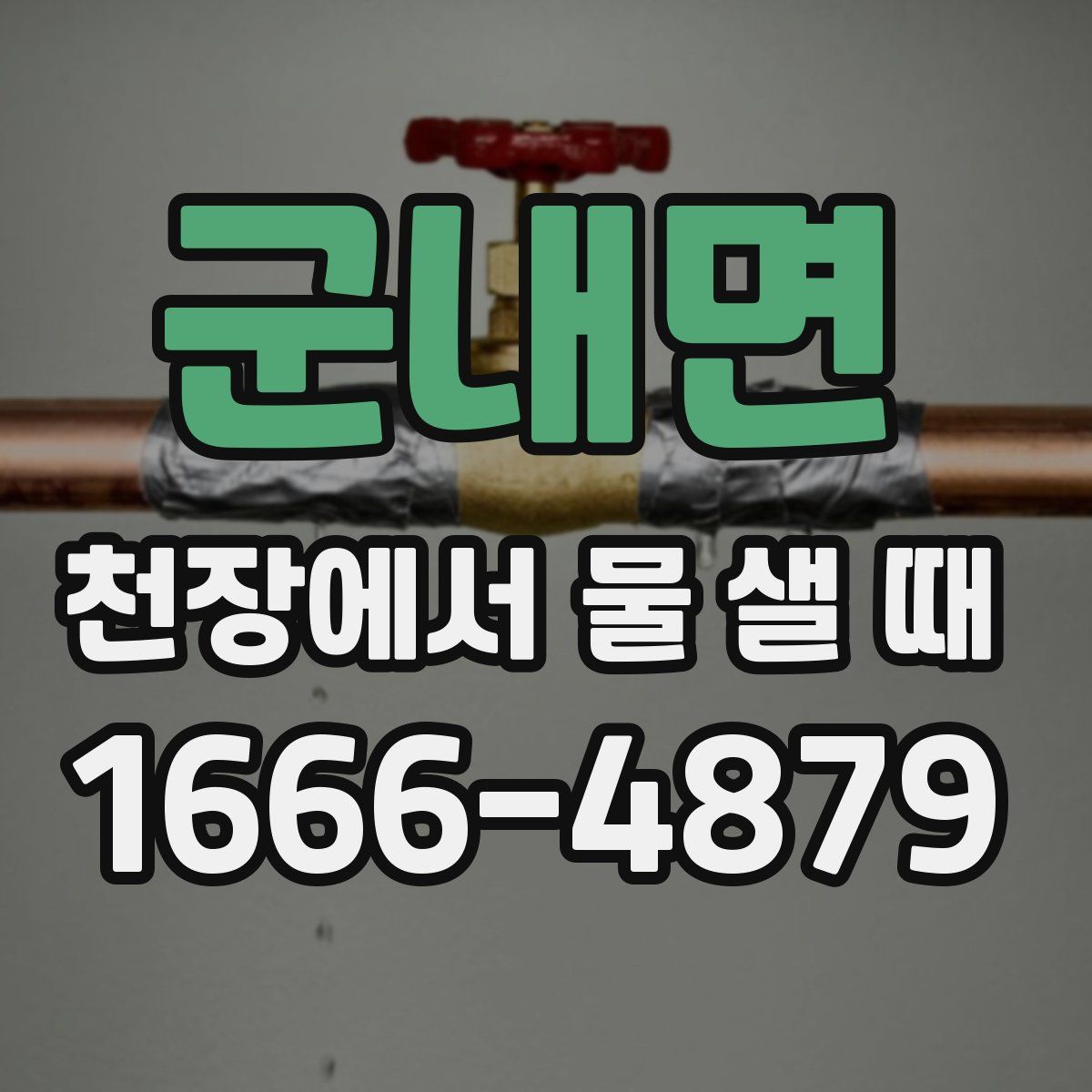 군내면 천장에서 물 샐 때