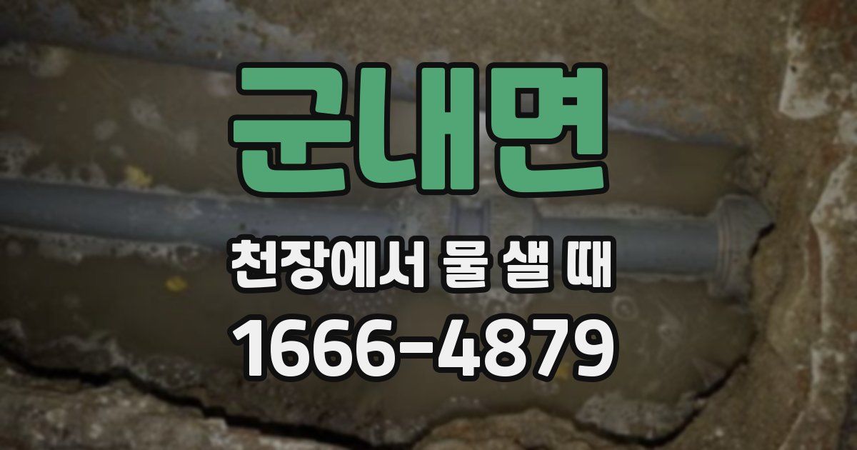 군내면 천장에서 물 샐 때