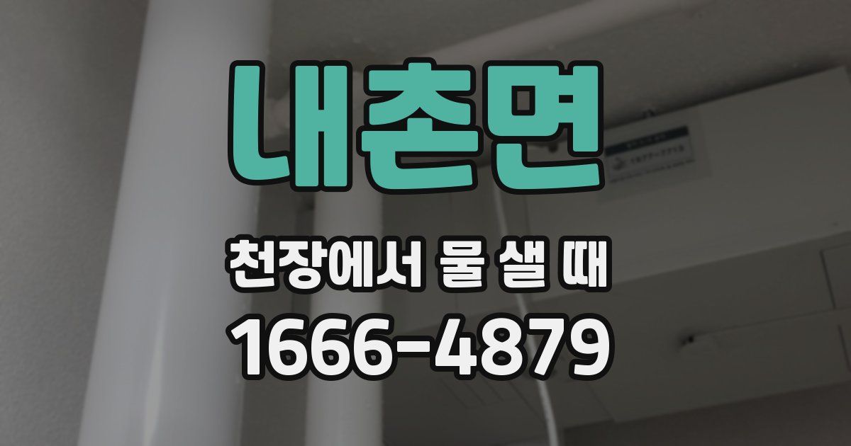 내촌면 천장에서 물 샐 때