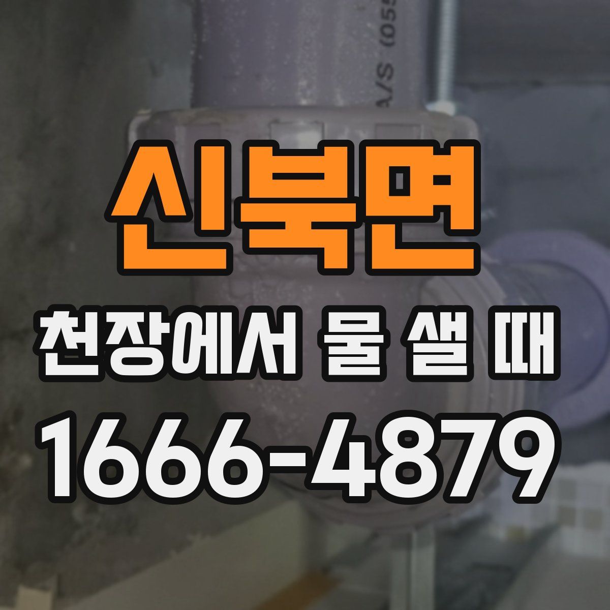 신북면 천장에서 물 샐 때