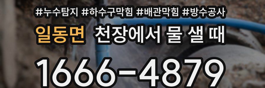 일동면 천장에서 물 샐 때