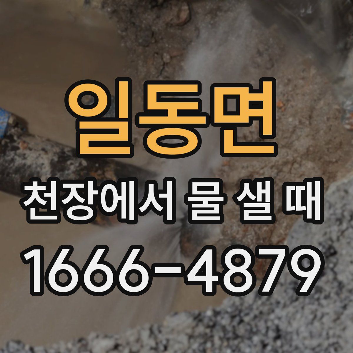 일동면 천장에서 물 샐 때