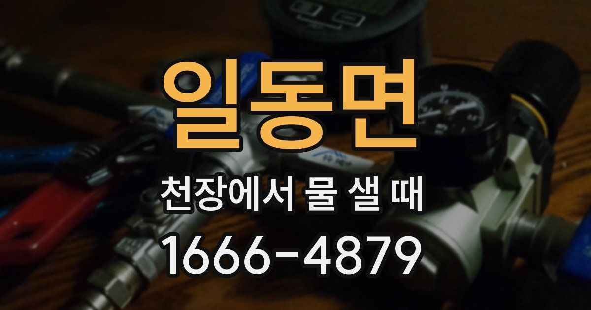 일동면 천장에서 물 샐 때