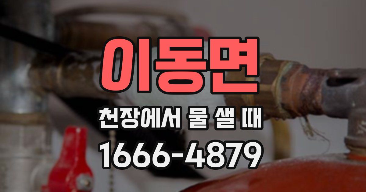 이동면 천장에서 물 샐 때
