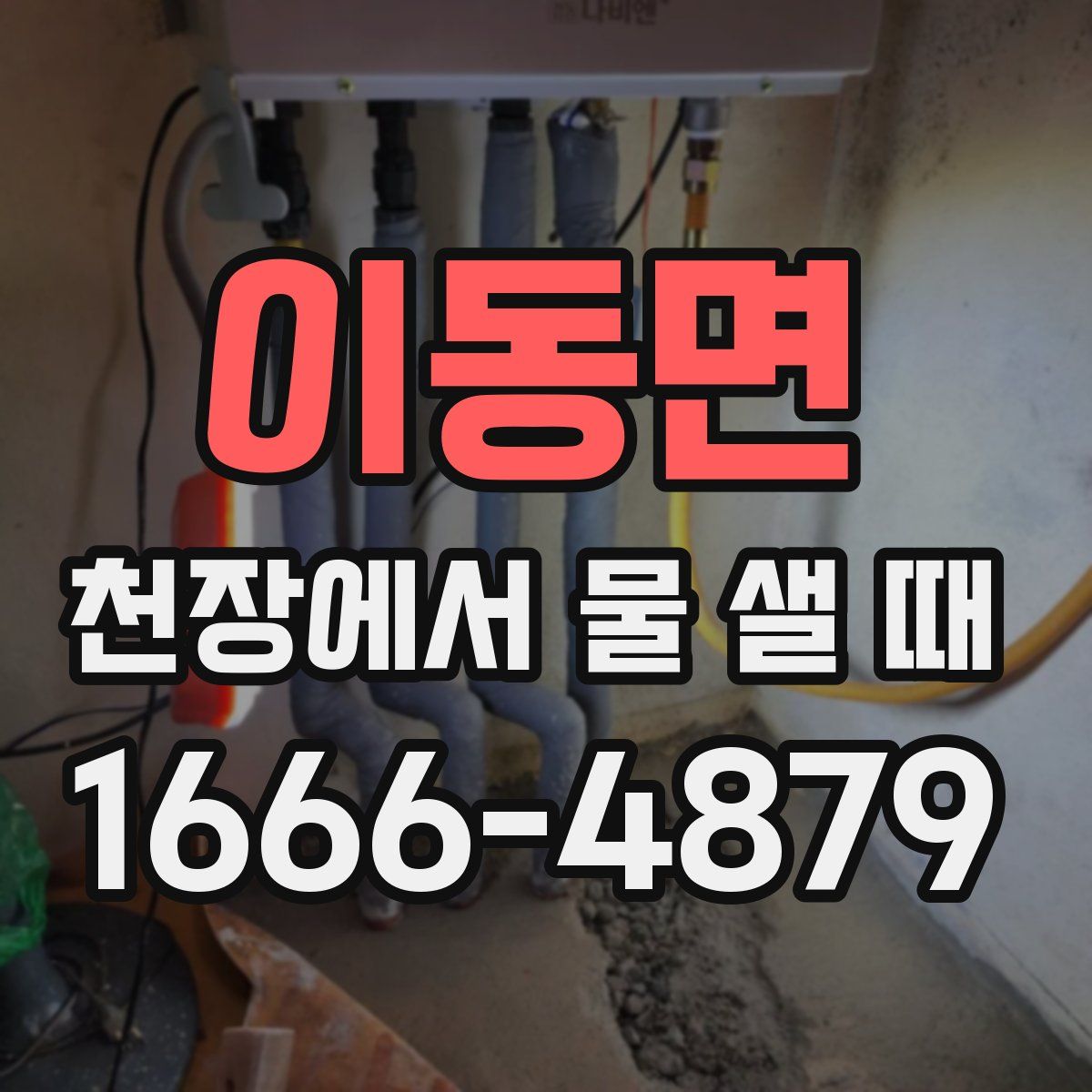 이동면 천장에서 물 샐 때