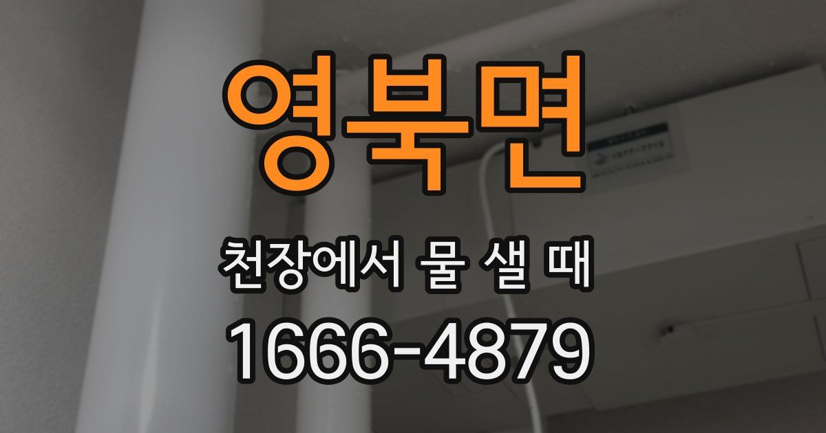 영북면 천장에서 물 샐 때