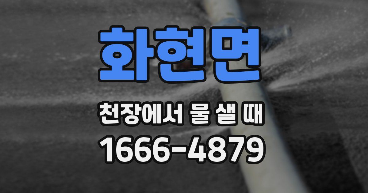 화현면 천장에서 물 샐 때