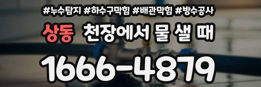 상동 천장에서 물 샐 때