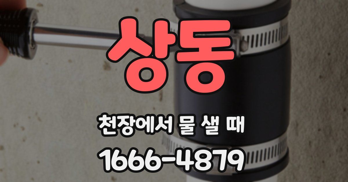 상동 천장에서 물 샐 때