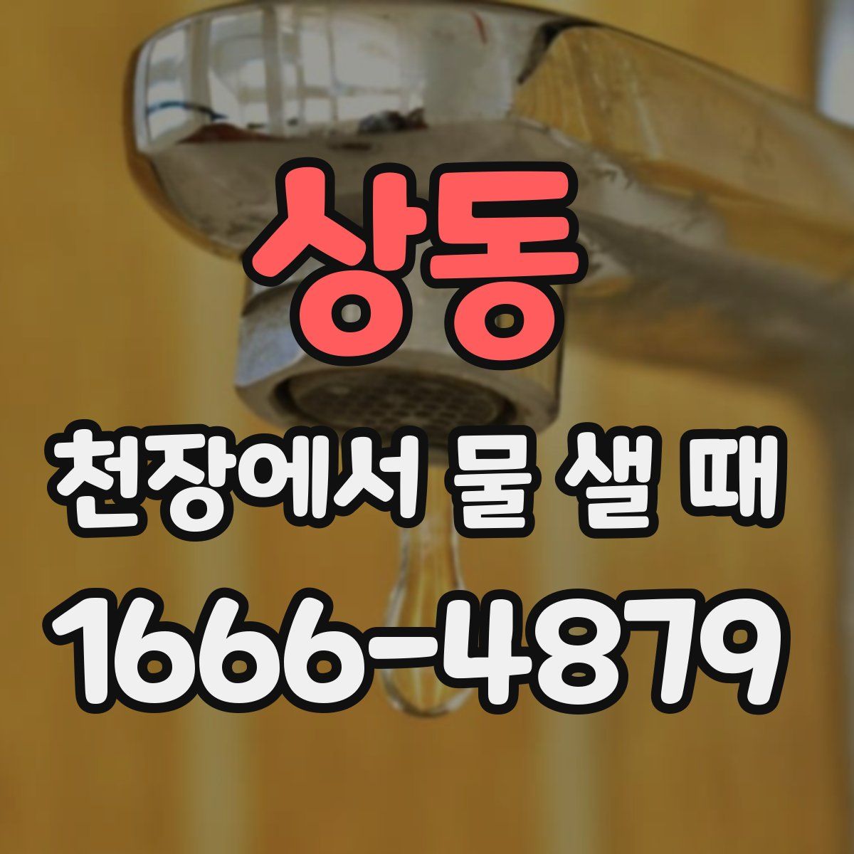 상동 천장에서 물 샐 때