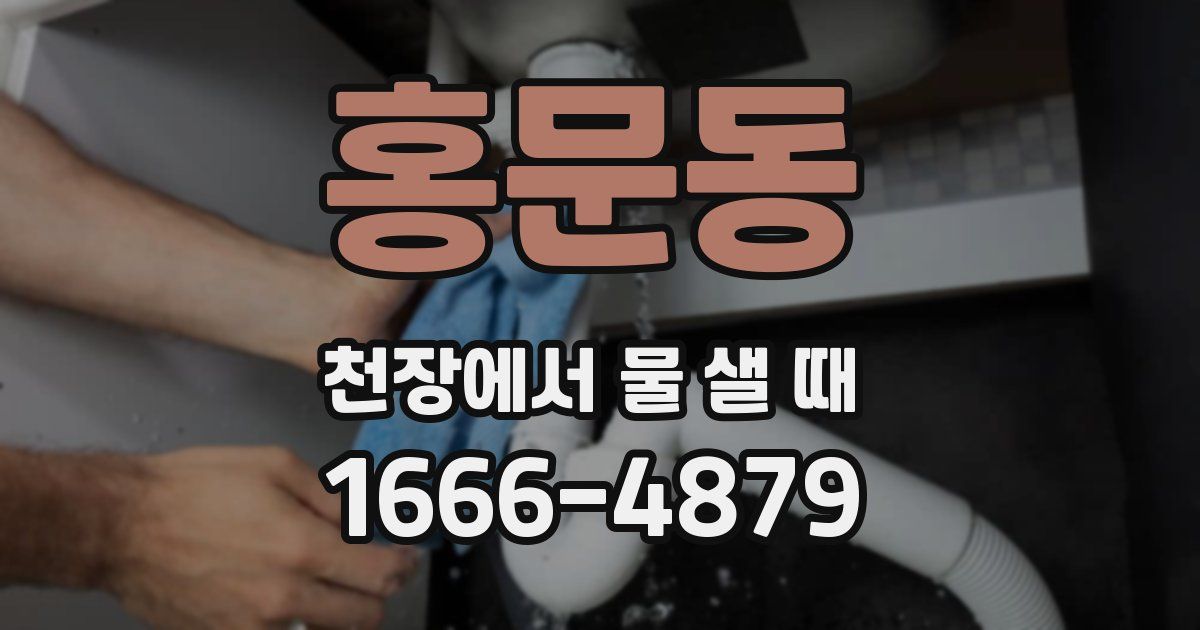 홍문동 천장에서 물 샐 때