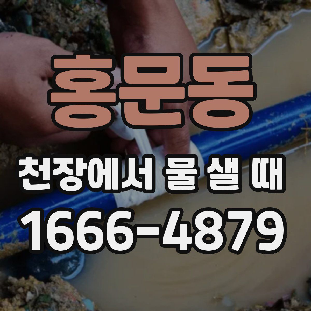 홍문동 천장에서 물 샐 때