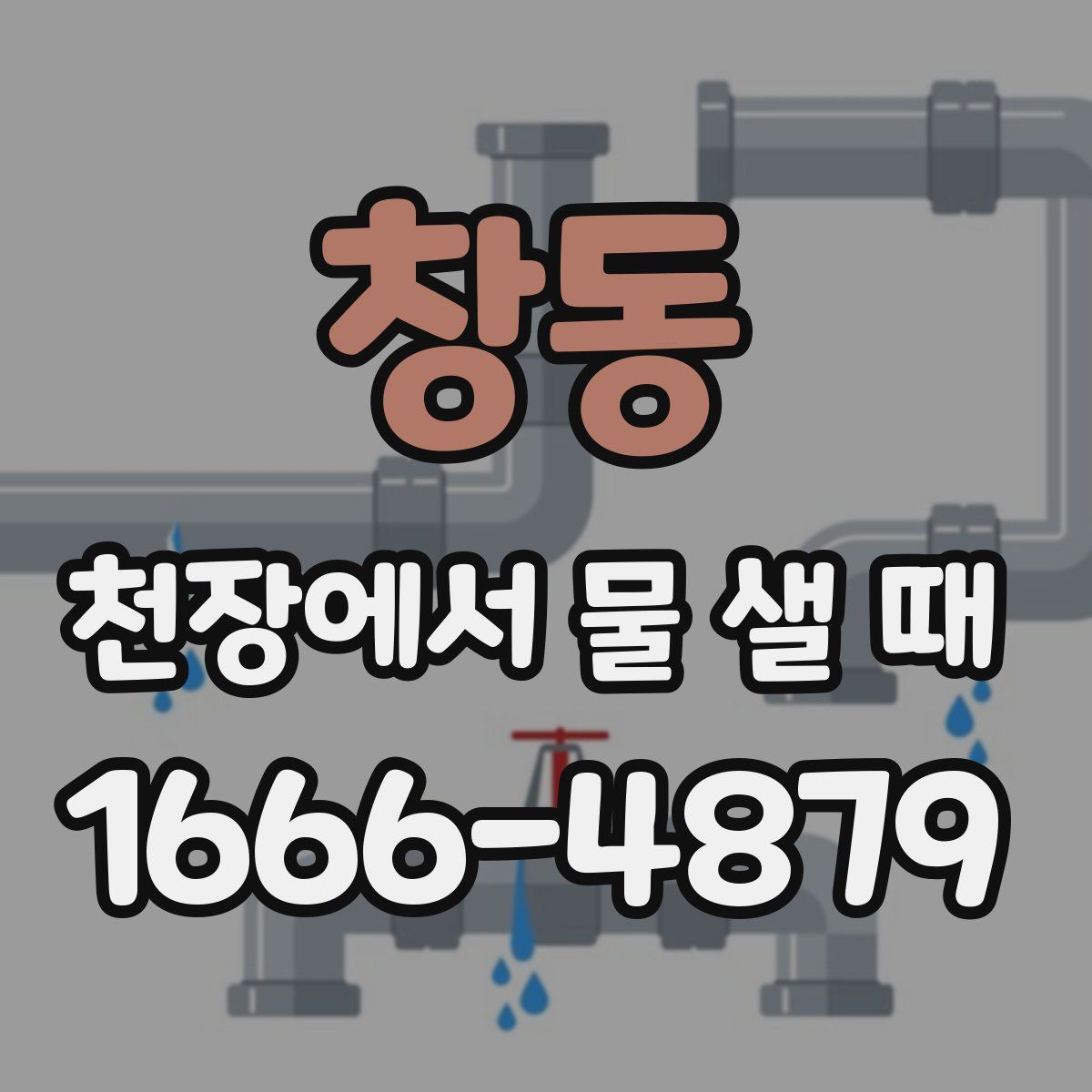 창동 천장에서 물 샐 때