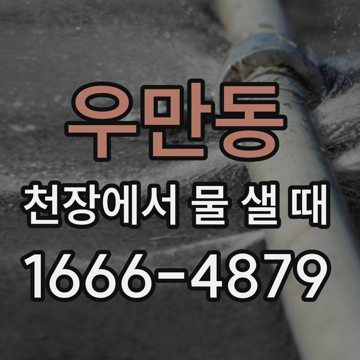 우만동 천장에서 물 샐 때