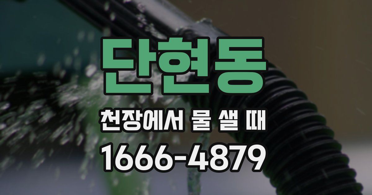 단현동 천장에서 물 샐 때
