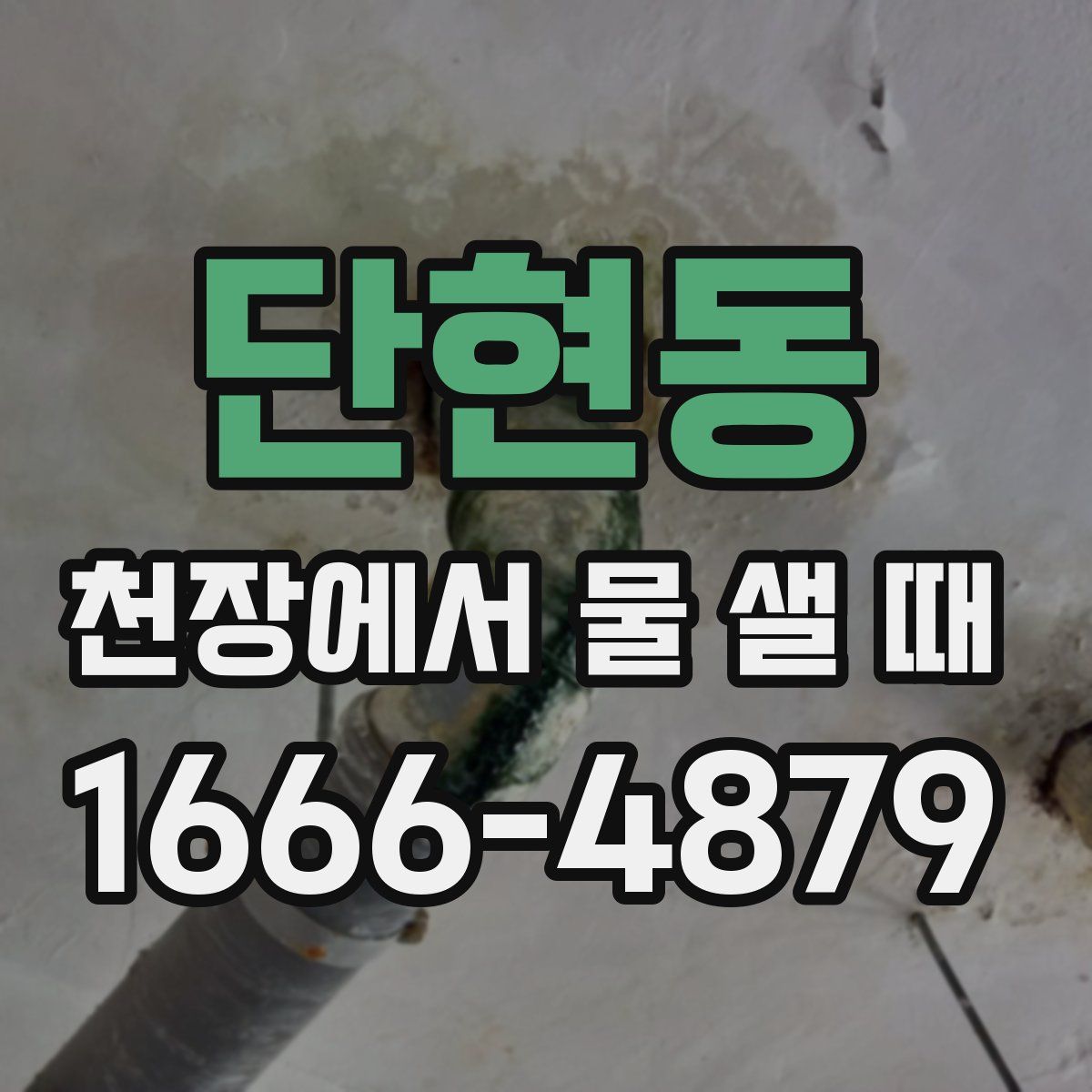 단현동 천장에서 물 샐 때