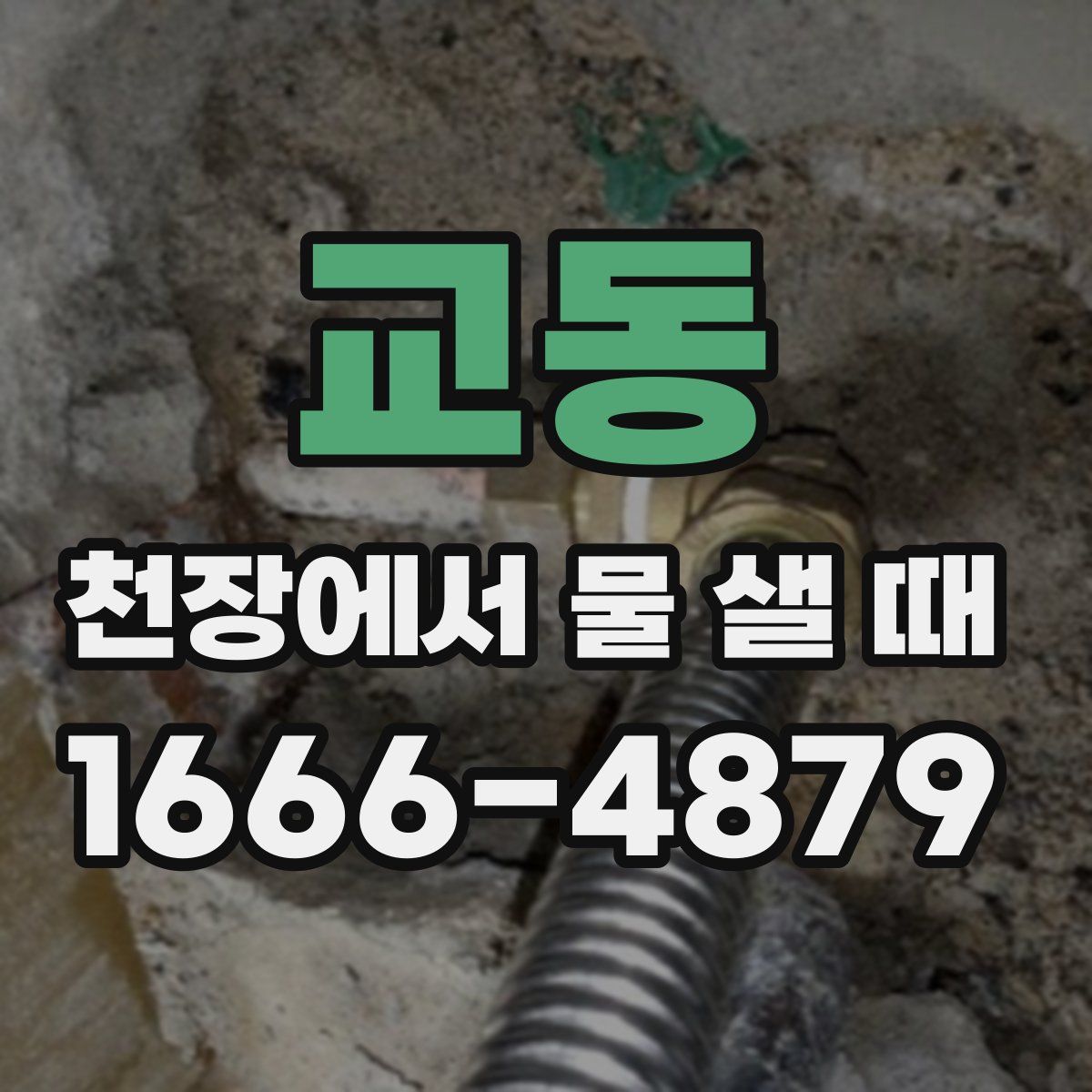 교동 천장에서 물 샐 때