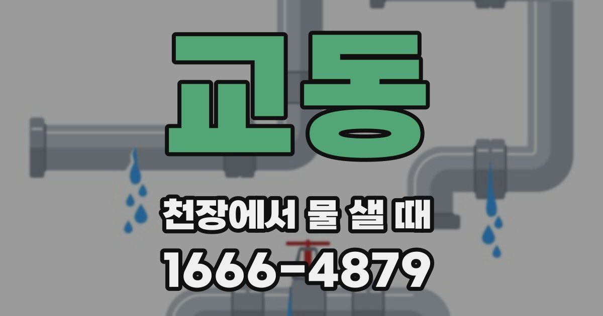 교동 천장에서 물 샐 때