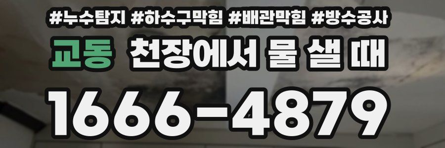 교동 천장에서 물 샐 때