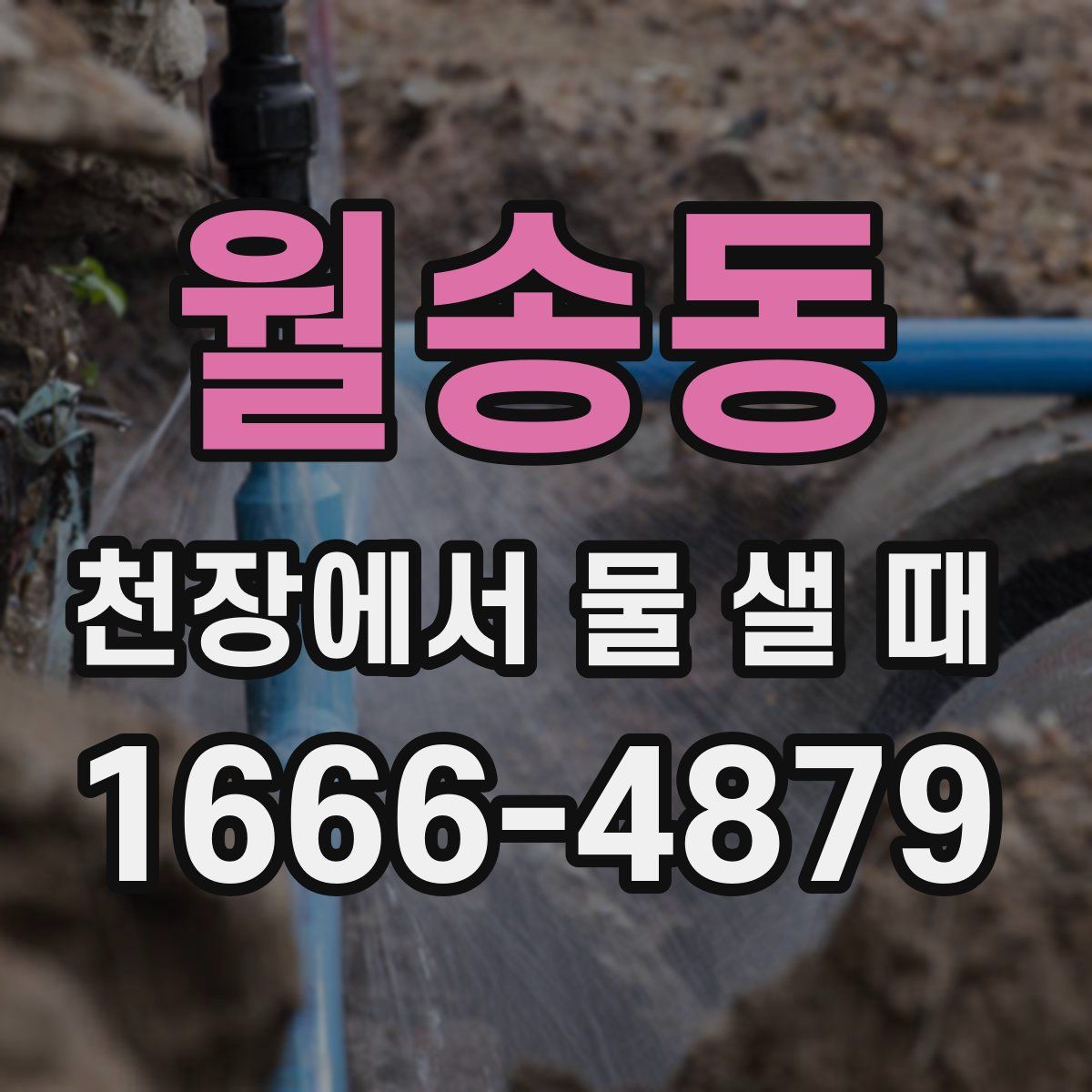 월송동 천장에서 물 샐 때