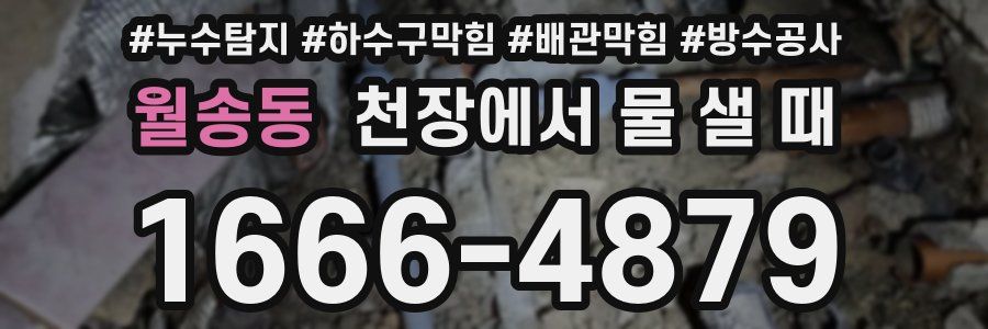 월송동 천장에서 물 샐 때