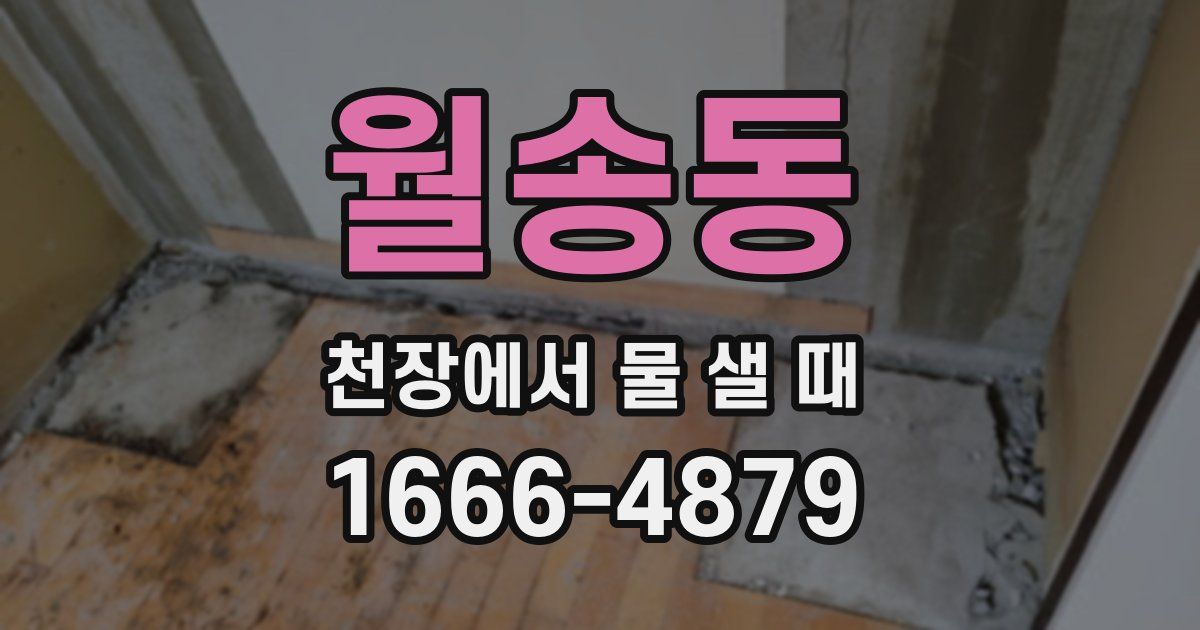 월송동 천장에서 물 샐 때