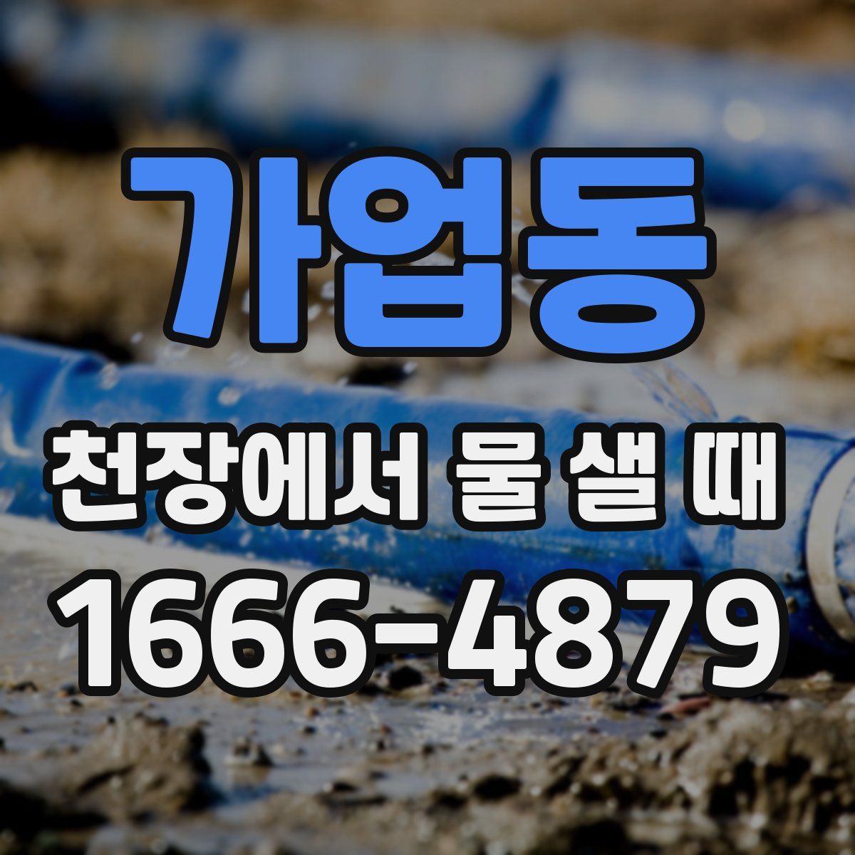 가업동 천장에서 물 샐 때