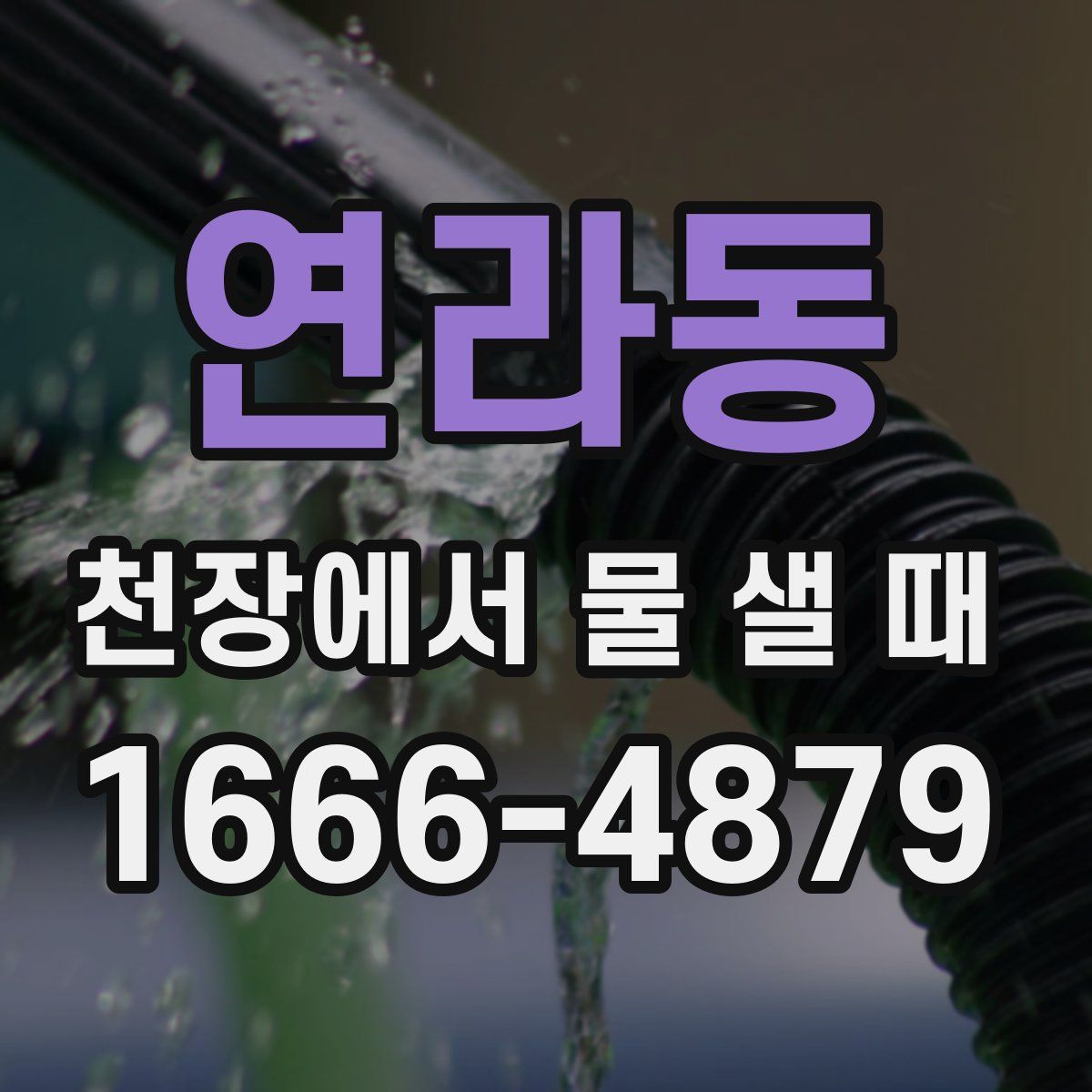 연라동 천장에서 물 샐 때