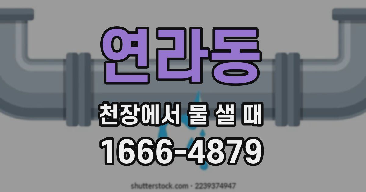연라동 천장에서 물 샐 때