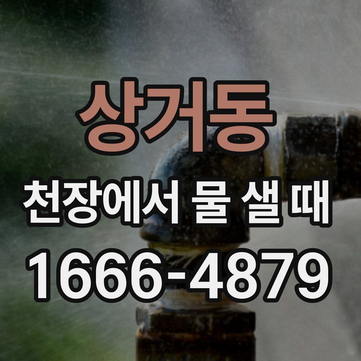 상거동 천장에서 물 샐 때
