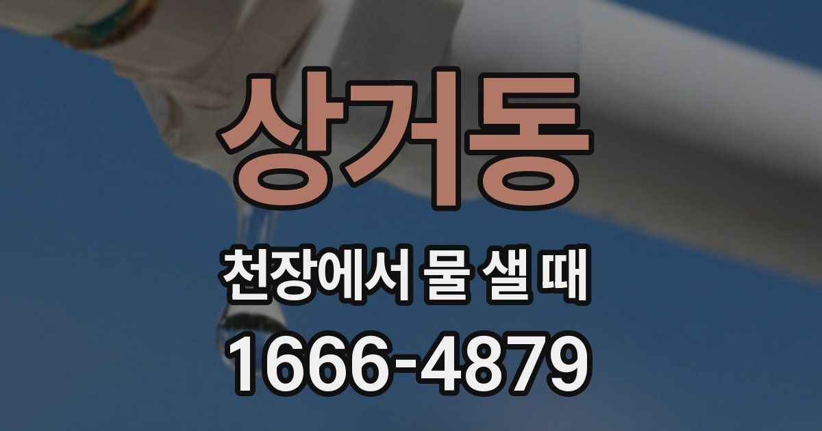 상거동 천장에서 물 샐 때