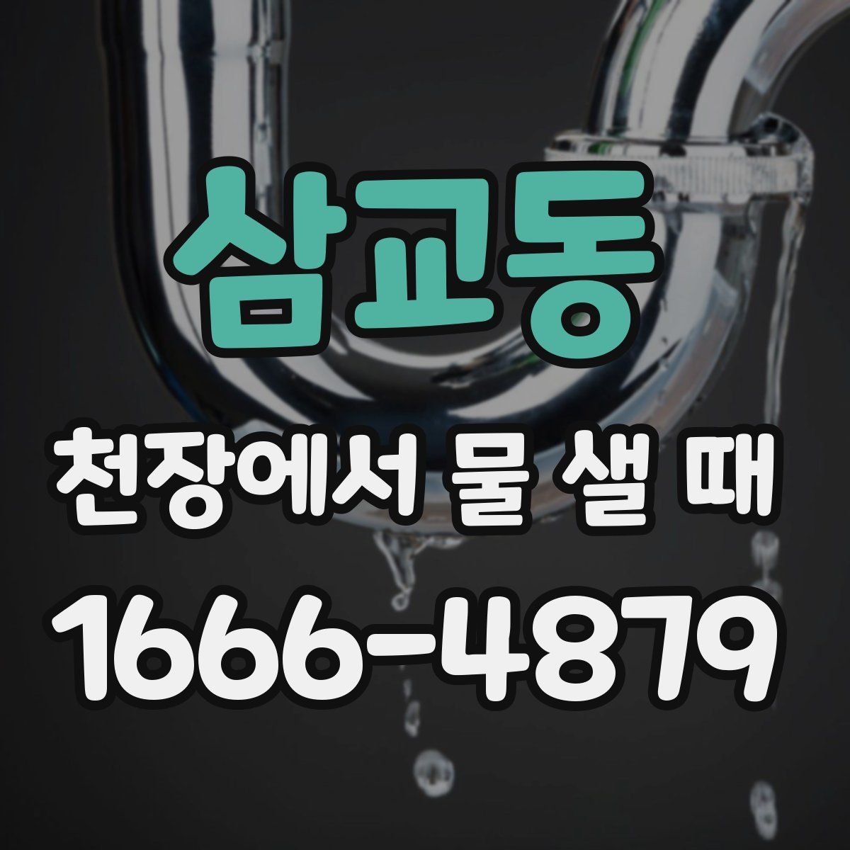 삼교동 천장에서 물 샐 때