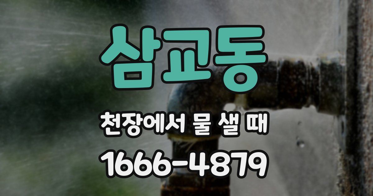 삼교동 천장에서 물 샐 때