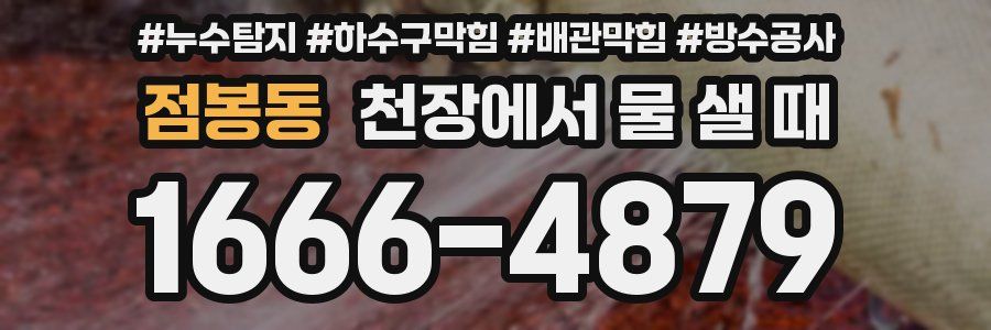 점봉동 천장에서 물 샐 때