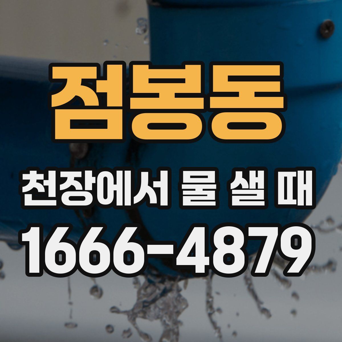 점봉동 천장에서 물 샐 때