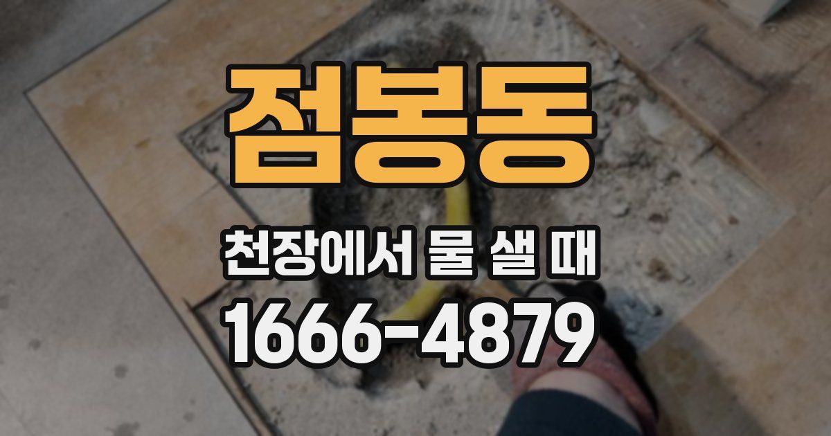 점봉동 천장에서 물 샐 때
