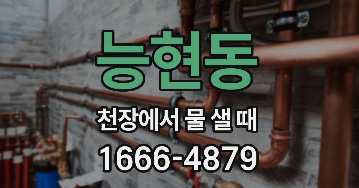 능현동 천장에서 물 샐 때