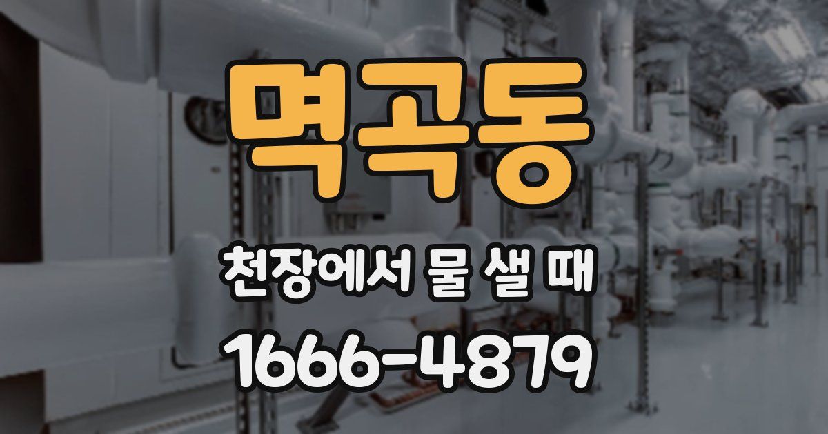 멱곡동 천장에서 물 샐 때