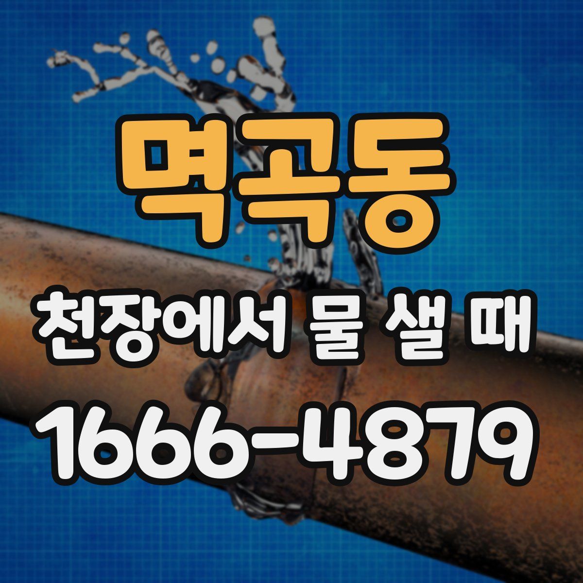 멱곡동 천장에서 물 샐 때