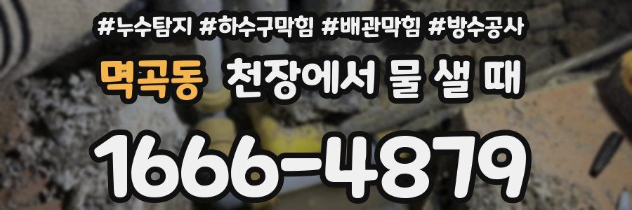 멱곡동 천장에서 물 샐 때