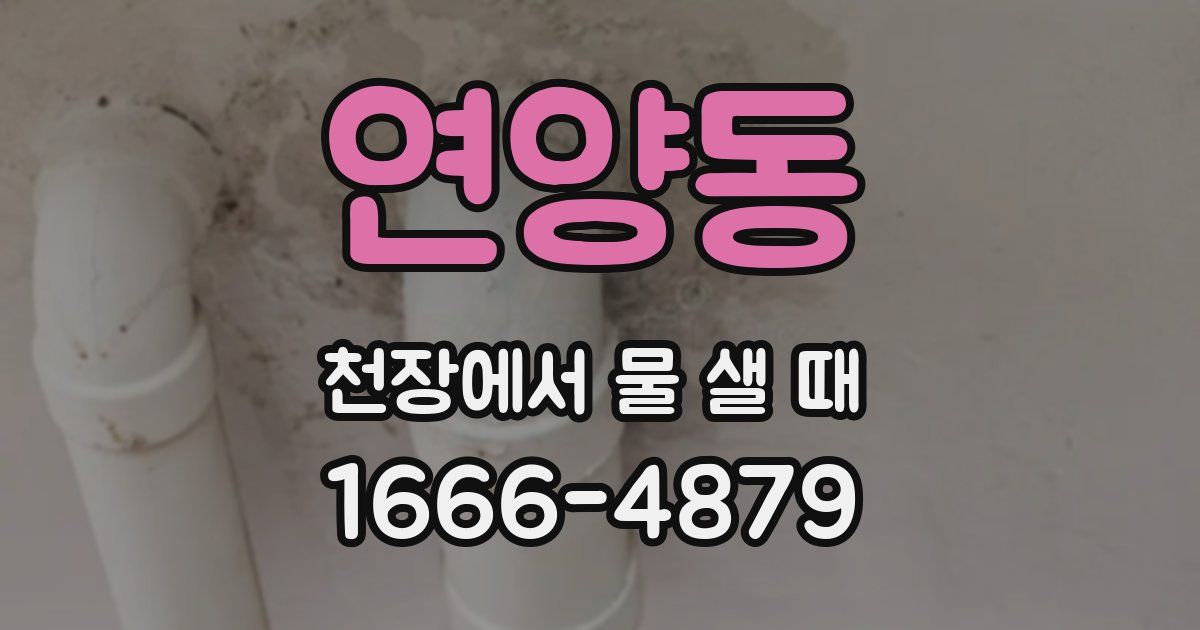 연양동 천장에서 물 샐 때