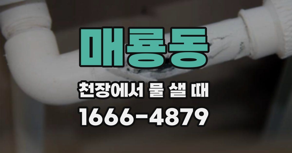 매룡동 천장에서 물 샐 때