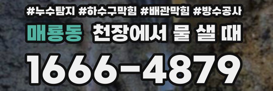매룡동 천장에서 물 샐 때