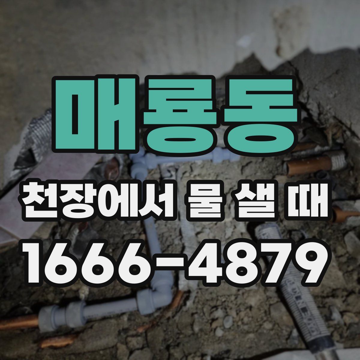 매룡동 천장에서 물 샐 때