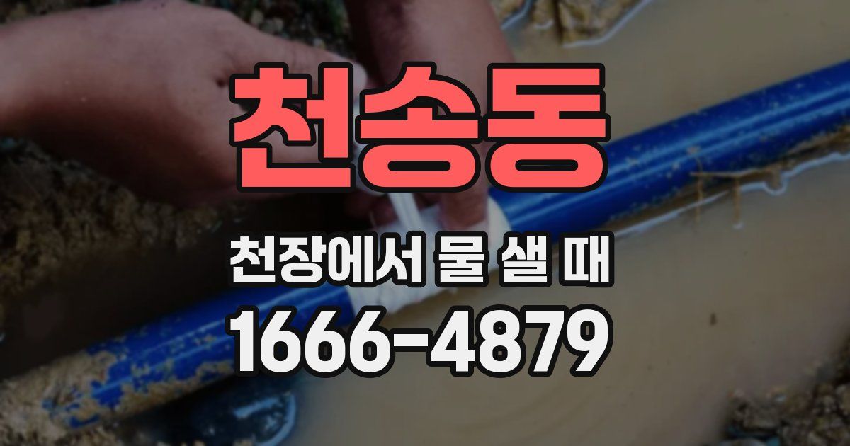 천송동 천장에서 물 샐 때