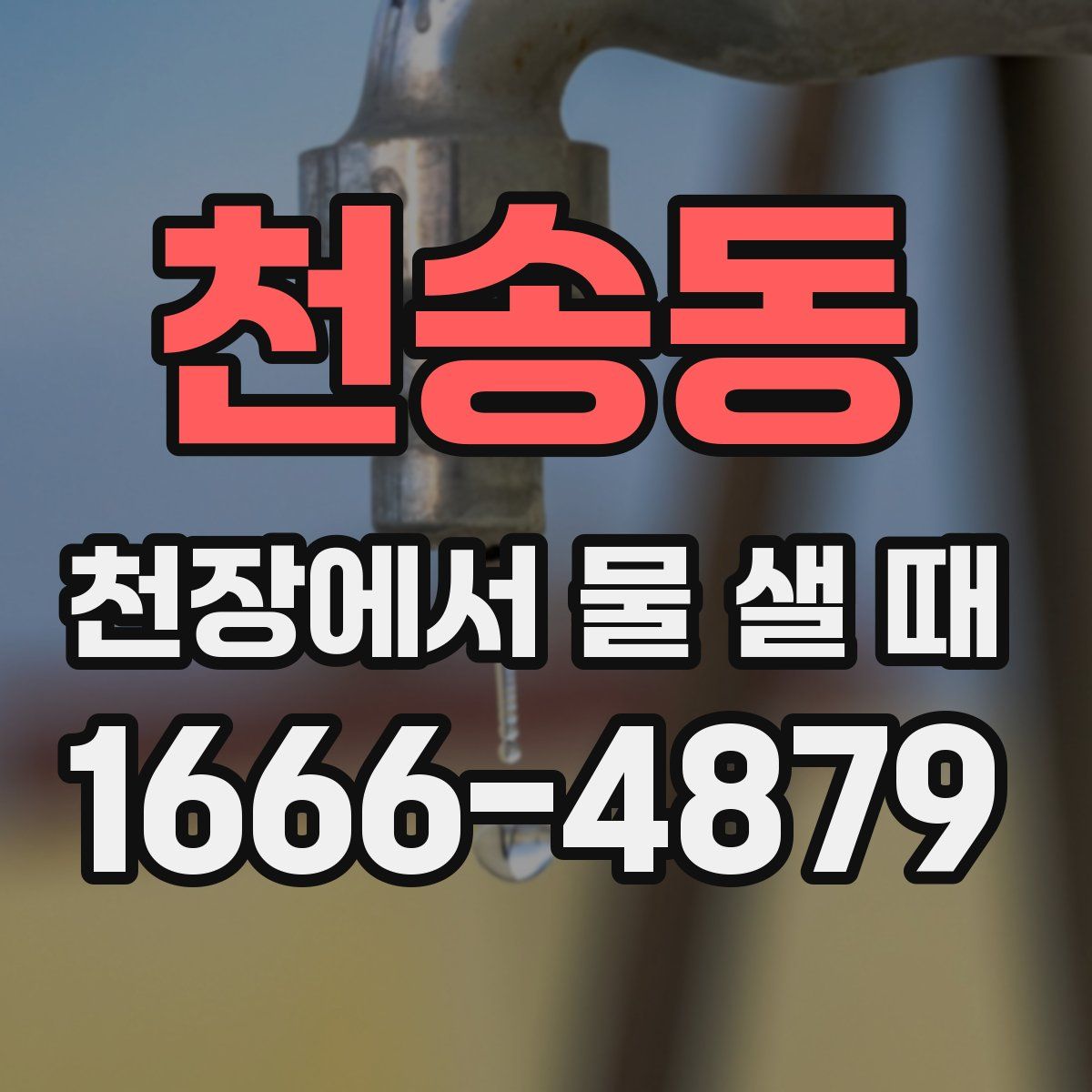 천송동 천장에서 물 샐 때
